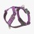 V3 DOG Copenhagen Walk Air™ Geschirr violett / purple passion