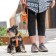 DOG Copenhagen Walk Air™ Geschirr orange sun