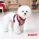 Puppia Oz Harness Typ A weinrot