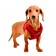 Puppia Terry Harness Typ B rot/weinrot